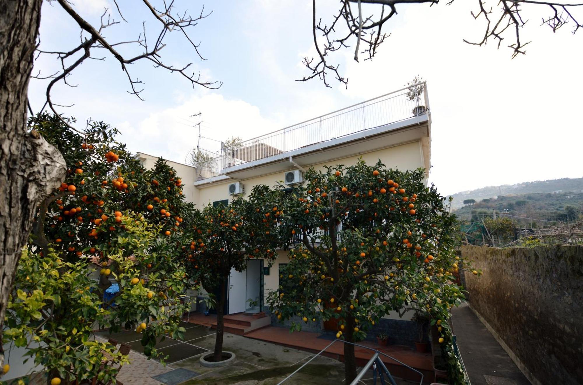 La Terrazza Family Holidays - Sorrento Coast Sant'Agnello Exterior photo
