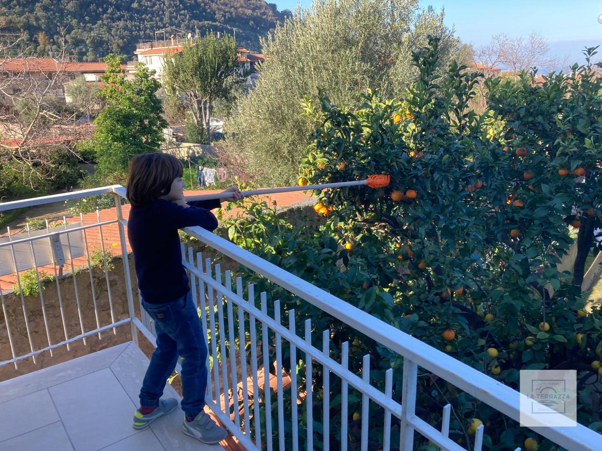 La Terrazza Family Holidays - Sorrento Coast Sant'Agnello Exterior photo